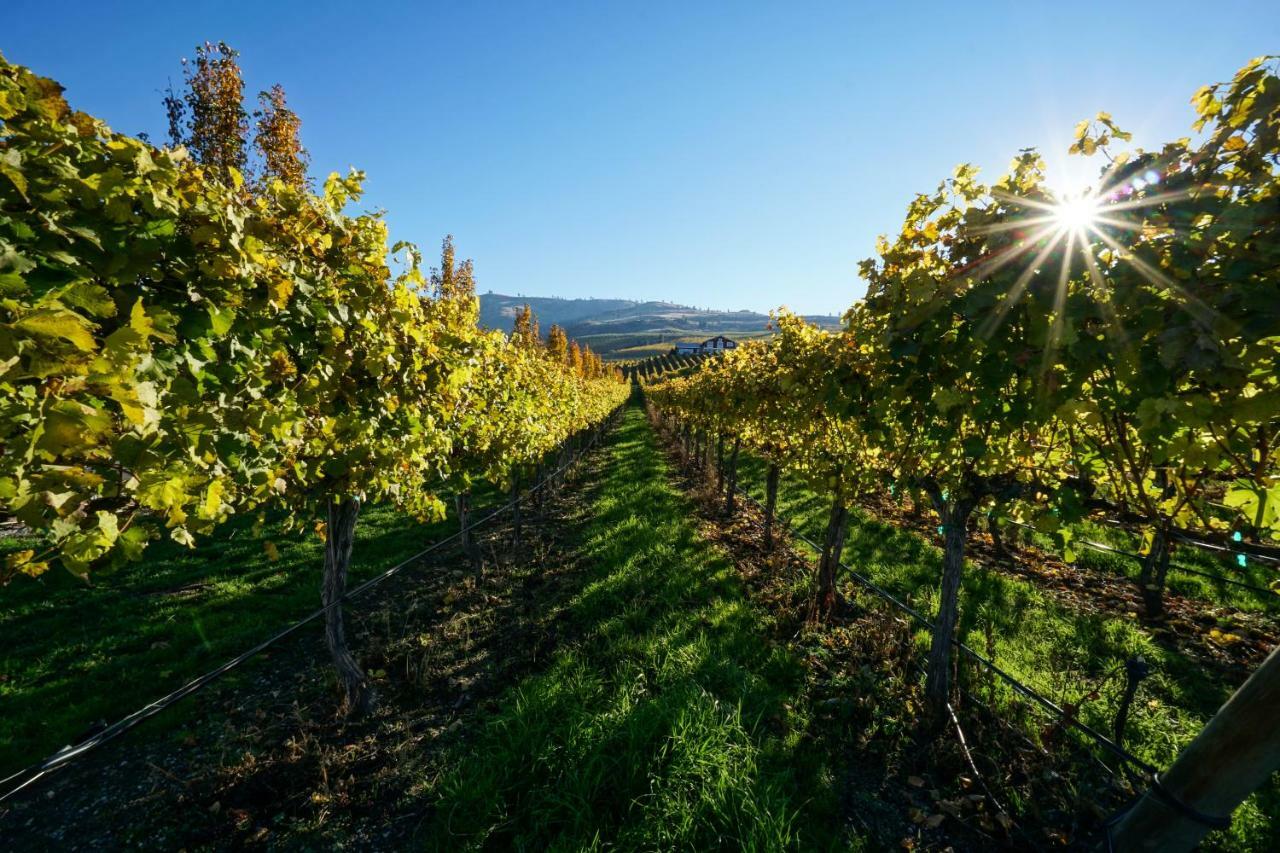 The Vineyards Lodge Chelan Buitenkant foto